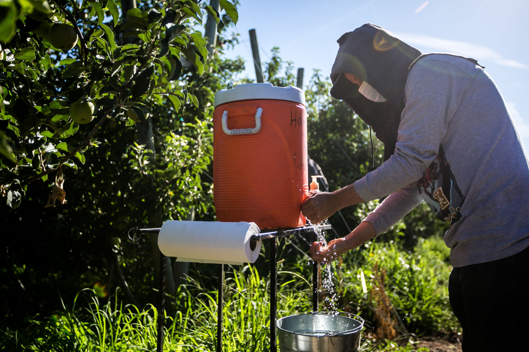 Aug. 7, 2020 | Socially distanced harvest season